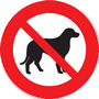 Chiens non autorisés