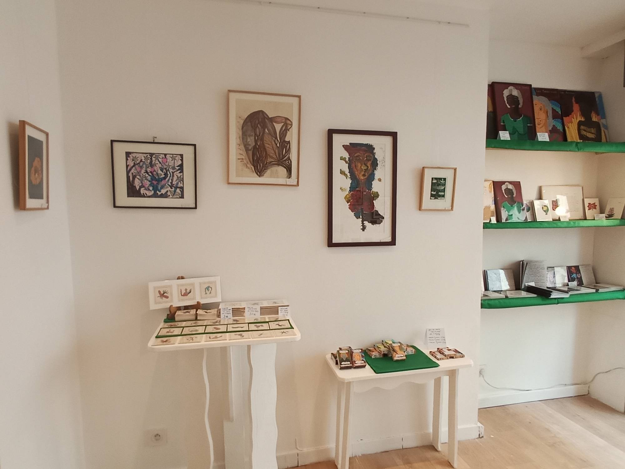 Vue de la Boutique - Galerie d'art du Pluralium à Paris 18e dans le quartier de la Goutte d'or, tableaux et éditions artistiques de Arnaud Degouy, Nathalie Fiala et Alex Hays
